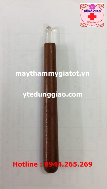 Cây dò day gỗ đầu lớn