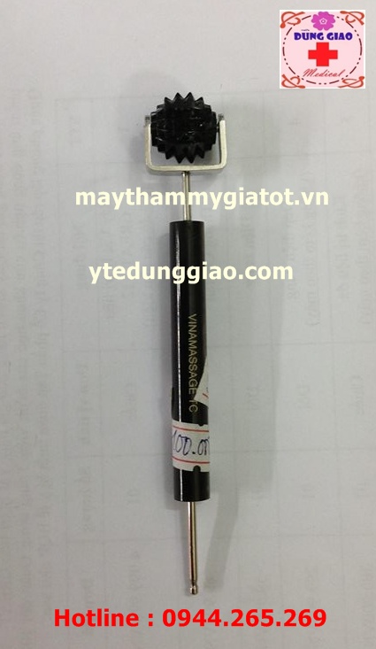 Cây dò huyệt ,lăn cầu gai nhỏ