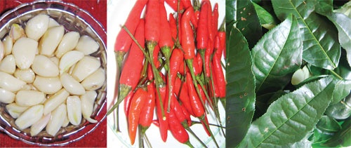 CẦN TUYỂN NHÂN VIÊN PHÁT TRIỂN THỊ TRƯỜNG  