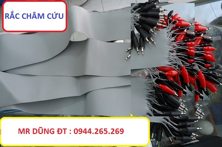 Rắc châm cứu Dũng Giao 12345