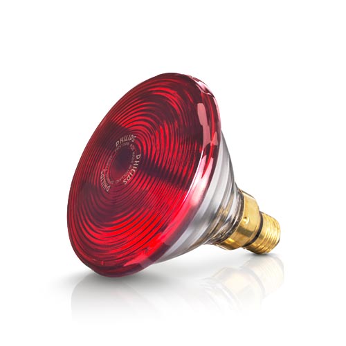 Bóng đèn hồng ngoại Philips 150w